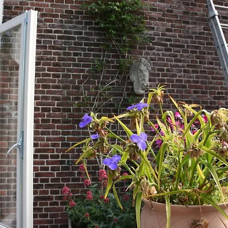 Bed & Breakfast Leonie *